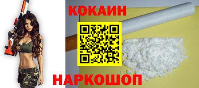 бошки Кингисепп