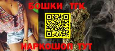 бошки Кингисепп
