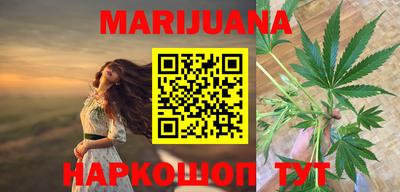 бошки Кингисепп