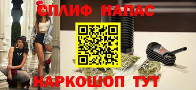 бошки Кингисепп