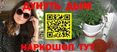 бошки Кингисепп