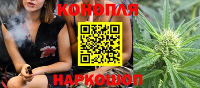 бошки Кингисепп
