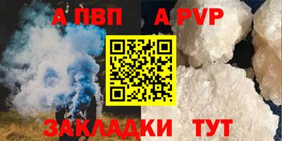 бошки Кингисепп