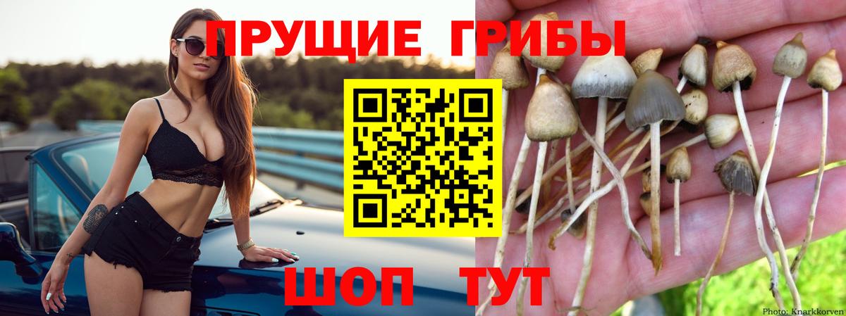 Псилоцибиновые грибы MAGIC MUSHROOMS  Псилоцибиновые грибы ЛСД  Вход с VPN  Слободской 