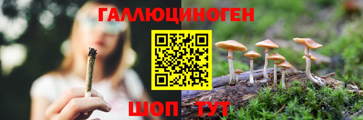 Псилоцибиновые грибы MAGIC MUSHROOMS Слободской